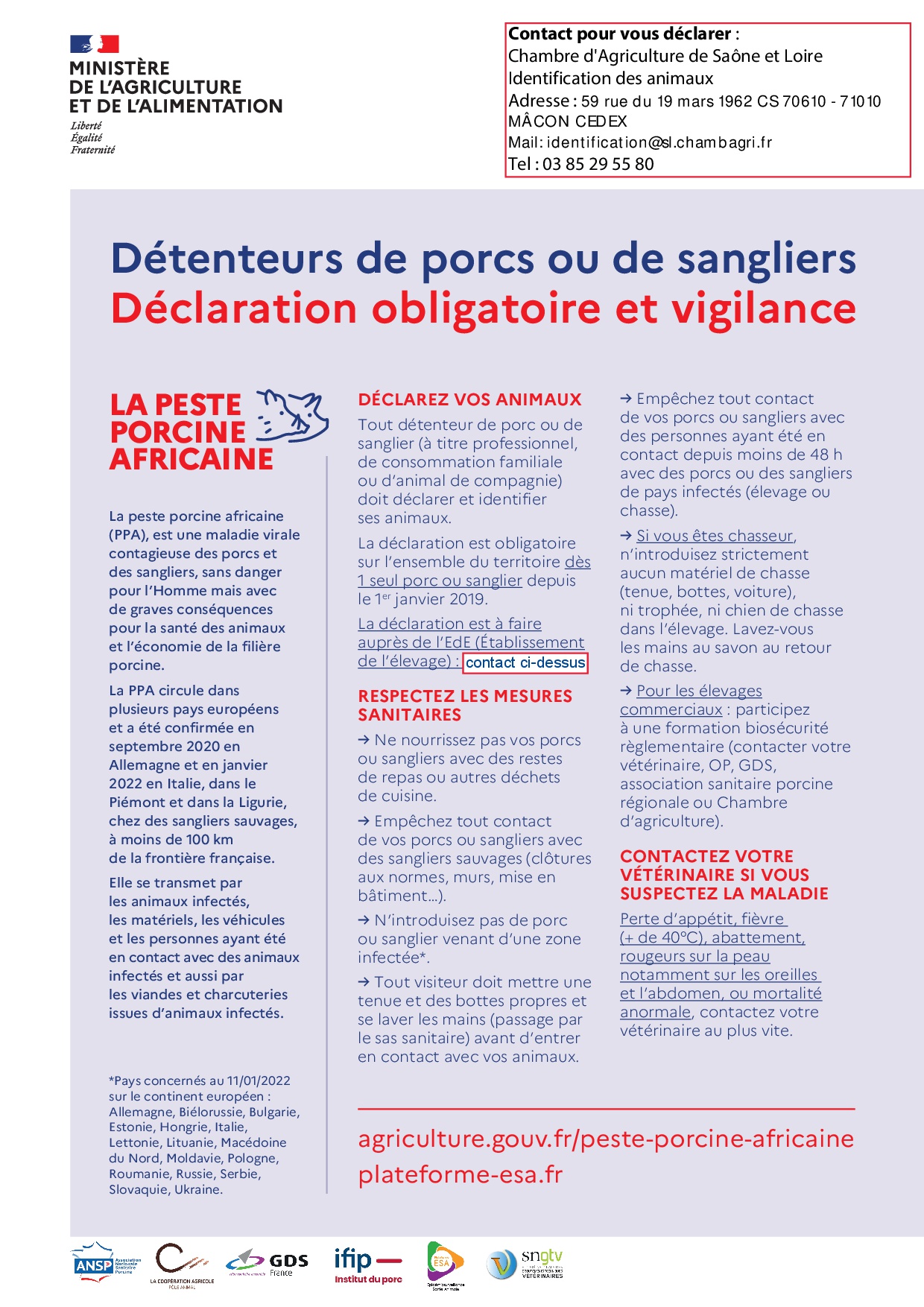 LA PESTE PORCINE AFRICAINE